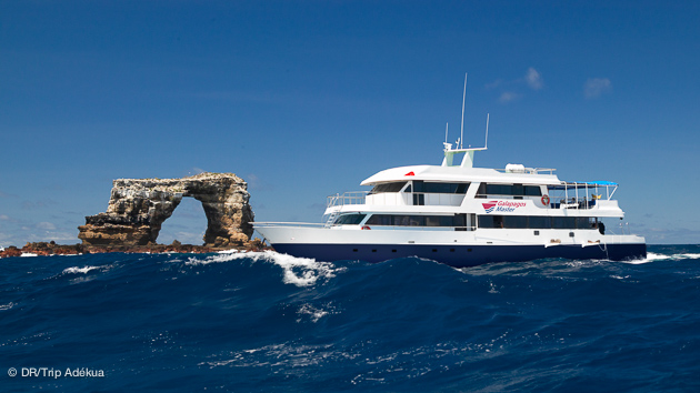 Séjour plongée croisière aux Galapagos