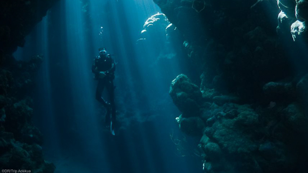 Votre séjour plongée en Egypte pour découvrir la beauté des fonds de la mer Rouge