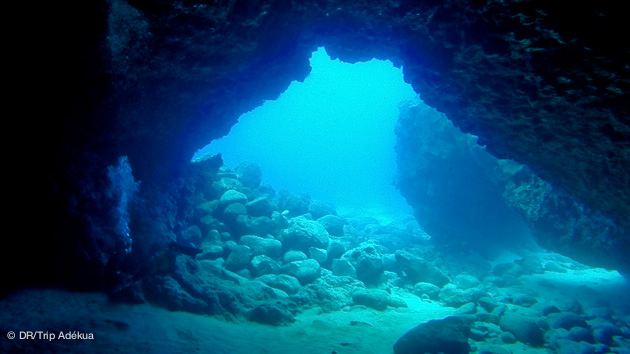 Séjour plongée aux Canaries