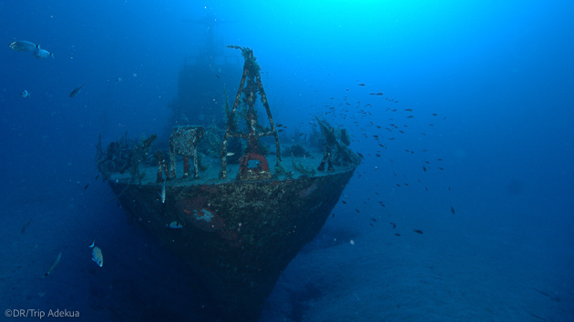 Séjour plongée à Malte en Méditerranée