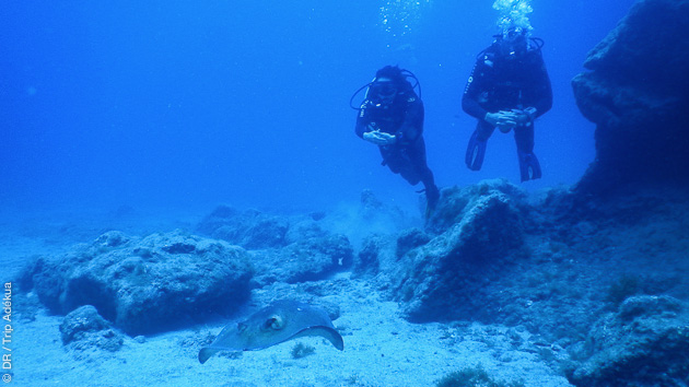 Séjour plongée à Ténérife aux Canaries