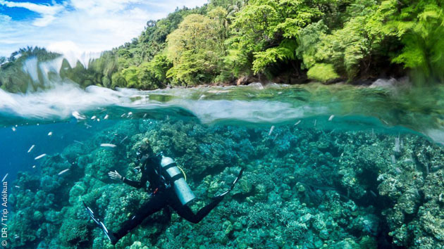 Séjour plongée à Rapopo en Papouasie Nouvelle Guinée