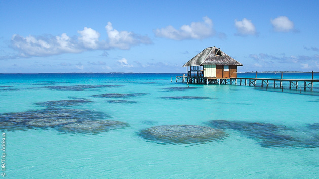 Séjour plongée à Tahiti en Polynésie