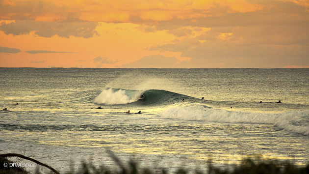 Séjour surf en Australie