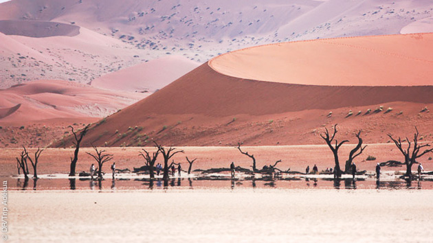 Couleurs et paysages de Namibie, à découvrir en trek
