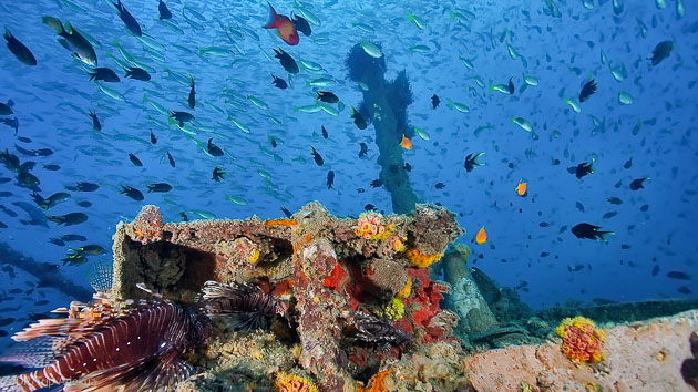 Séjour plongée exceptionnel à Cuba aux Caraïbes