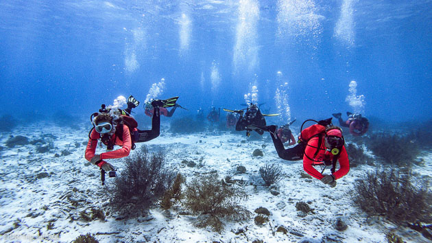 Séjour plongée à Bonaire dans les Caraïbes avec hébergement