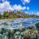 Avis séjour plongée à Tahiti en Polynésie