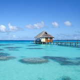 Avis séjour plongée à Tahiti