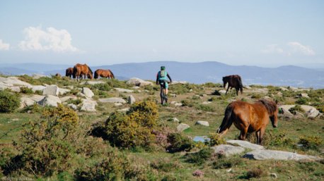 Découvrez les plus beaux sentiers VTT de Viana do Castelo au Portugal