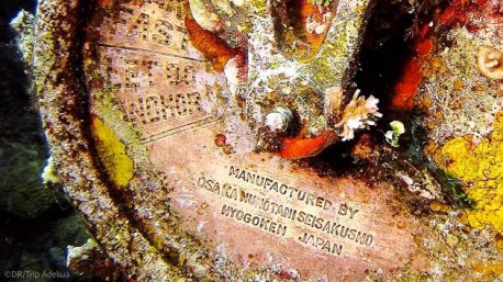 Des plongées extraordinaires sur les plus belles épaves de Micronésie