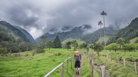 Votre trek dans le parc national de Los Nevados en Colombie