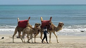 Avis vacances et stage de kite à Djerba en Tunisie