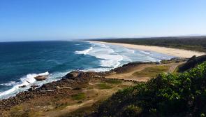 Des vagues magnifiques sur les plage de la côte Est australienne, idéales pour le surf !