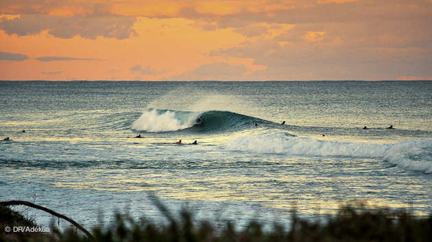spot secret de surf au nord de Sydney pour vos vacances surf