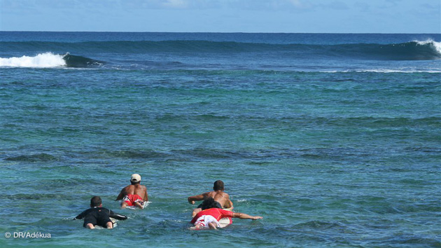 Vos vacances en Guadeloupe avec votre surf guide