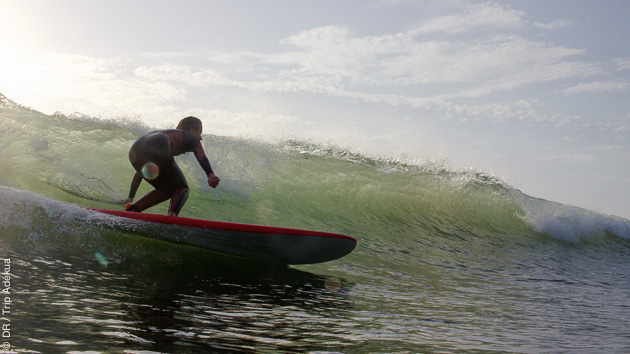 Progressez avec 2 heures de cours de surf par jour à Peniche