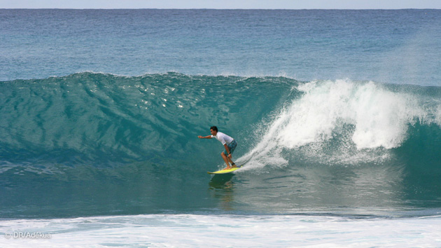 Stage surf en Guadeloupe