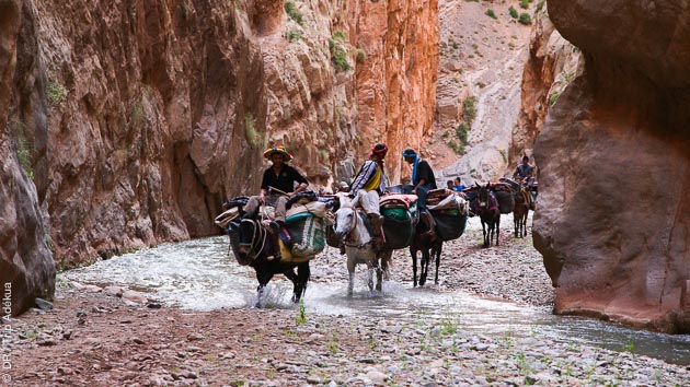 Un circuit de randonnée avec une caravane de muletiers pour vous accompagner sur les sentiers du Haut Atlas marocain