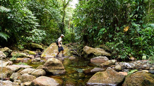 Un circuit trek sur l'île de la Dominique, entre plage et volcan