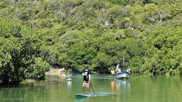 Sortie en SUP pour explorez la mangrove à Madagascar