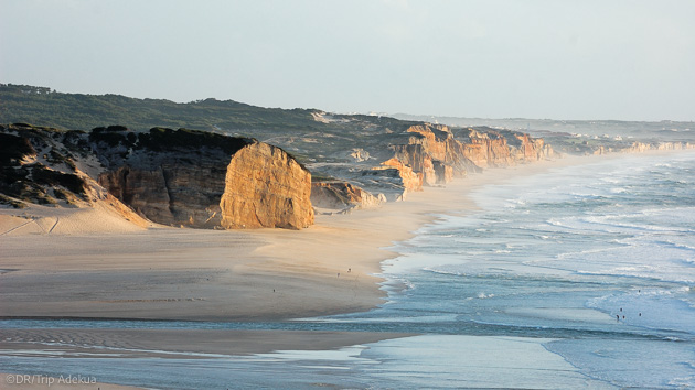 Explorez les plus belles plages du Portugal pendant votre séjour à Obidos