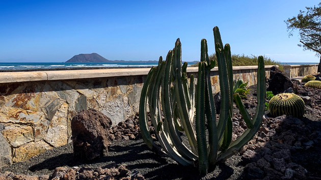 Découvrez Fuerteventura pendant vos vacances wing