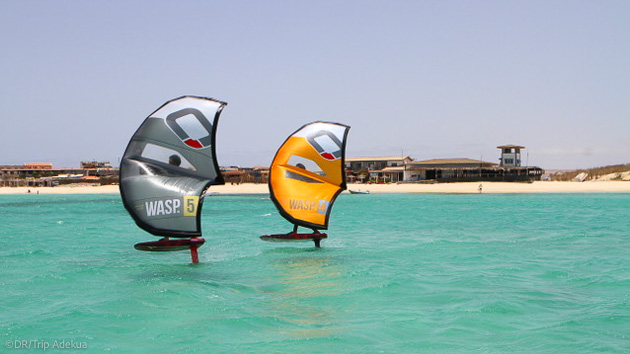 Un séjour wing foil de rêve sur l'île de Boa Vista au Cap Vert